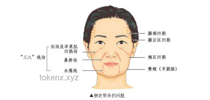 媳妇脸上的点和线，如何构成独特的“面”